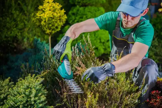 landscaping services Rhinecliff